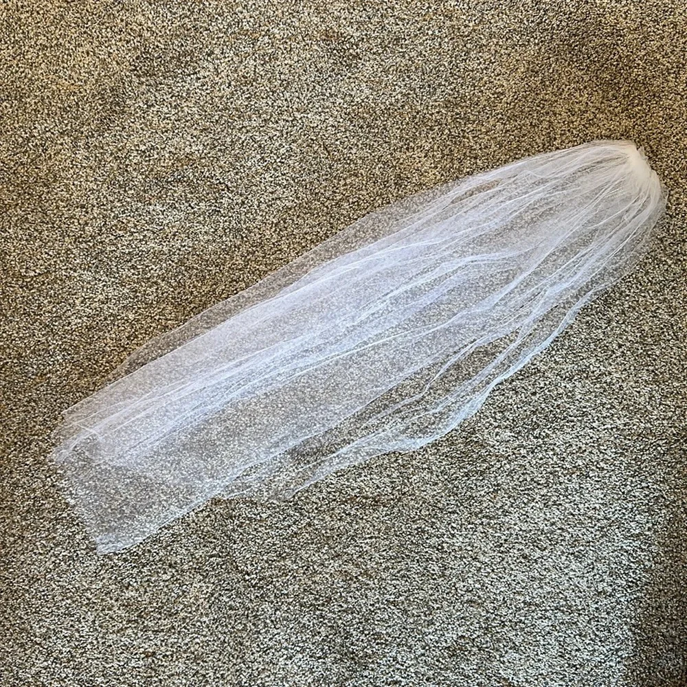Veil - Picture 3 of 3